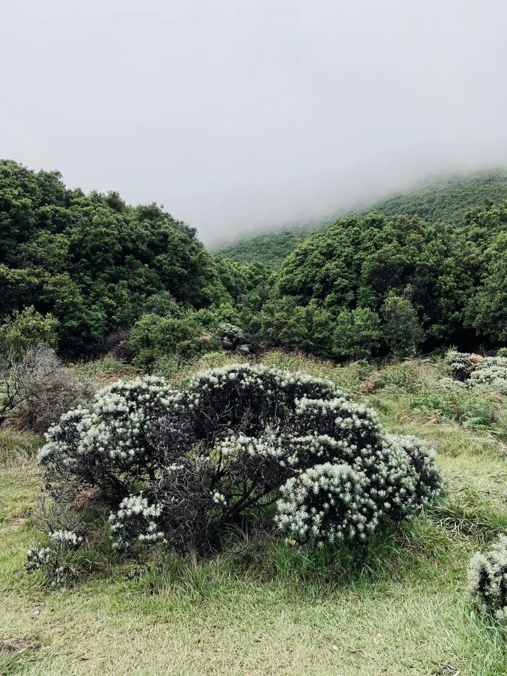 private-trip-gnpapandayan-mepo-jakarta