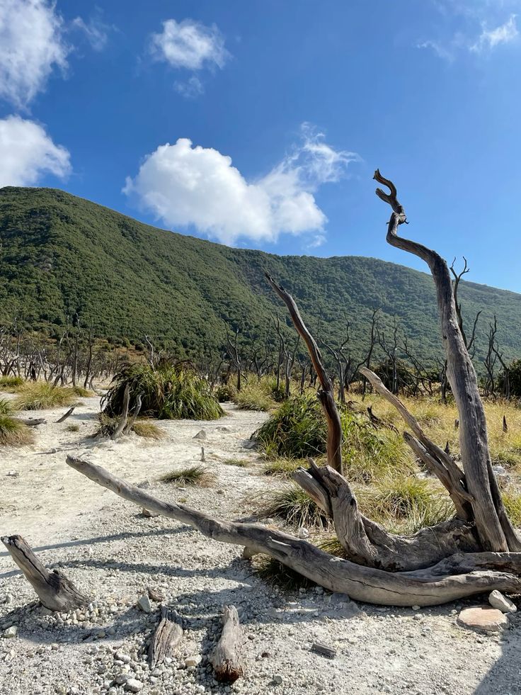 private-trip-gnpapandayan-mepo-jakarta